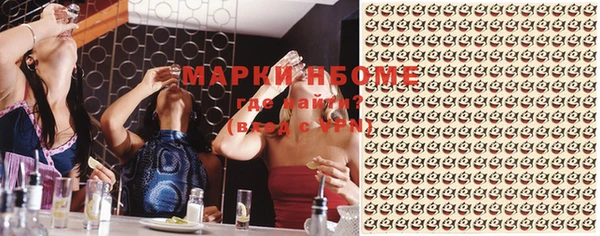 индика Зеленокумск