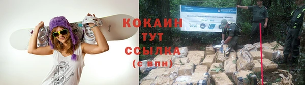 индика Зеленокумск