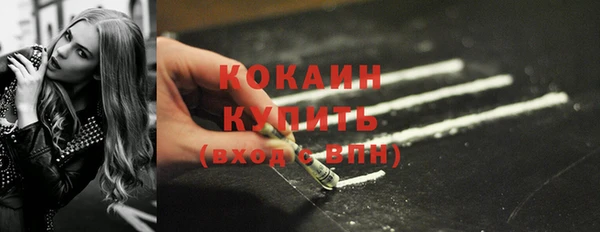 индика Зеленокумск