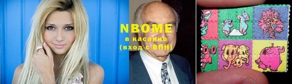 индика Зеленокумск