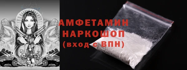 индика Зеленокумск