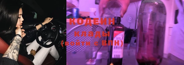 индика Зеленокумск