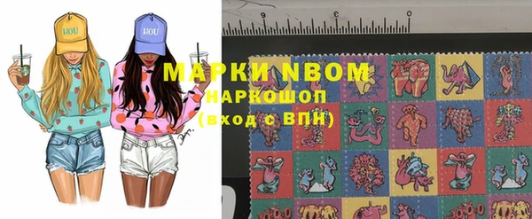 индика Зеленокумск