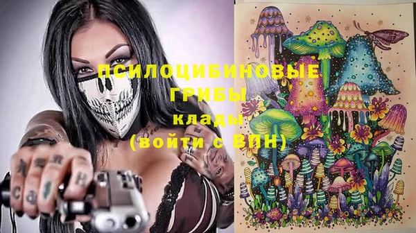 ешки Зеленодольск