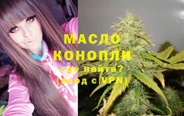 индика Зеленокумск