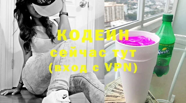 индика Зеленокумск