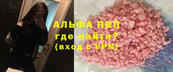 индика Зеленокумск